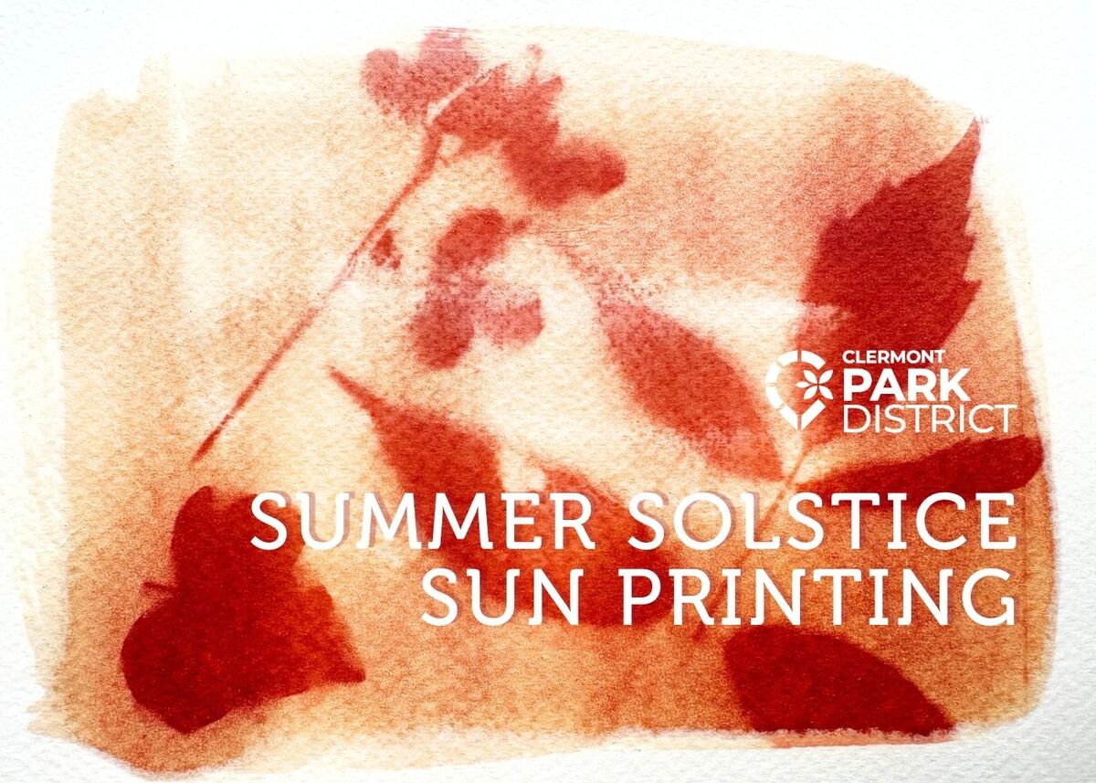 Sun print of leaves and flowers in a deep sienna red